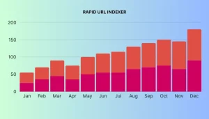 seo new York rank with rapid url indexer