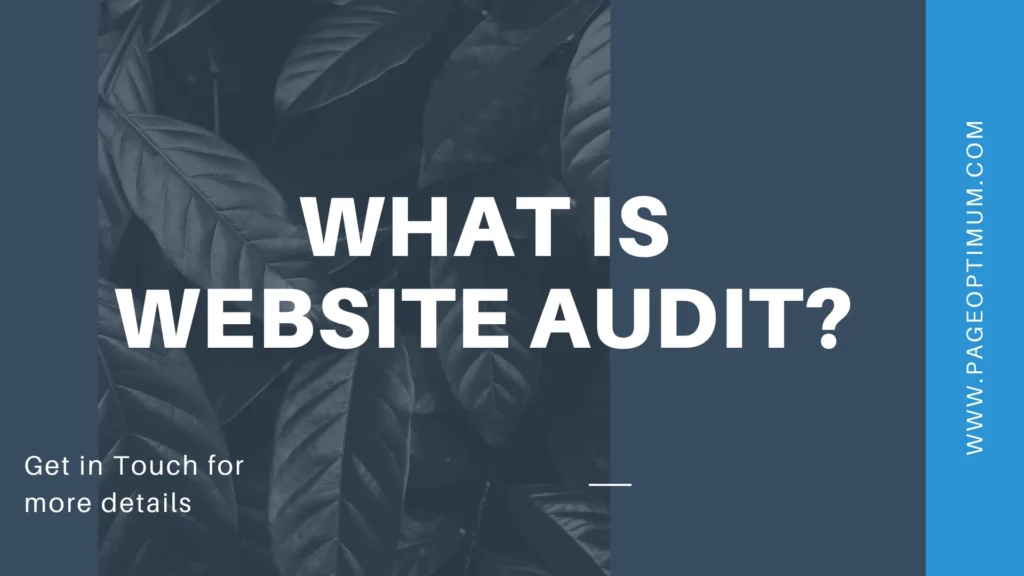 Website audit process explaining SEO